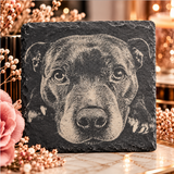 The Pawtrait Collection.